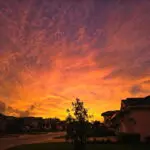 "SC01_8200871234729205155"