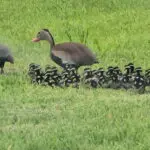 SC04_7467199862490238371