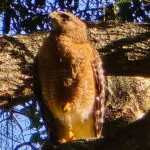 SC06_8849609735479435591