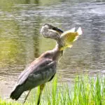 SC08_1173150235638383870