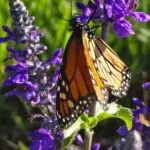 SC12_407478930997996158